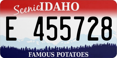 ID license plate E455728