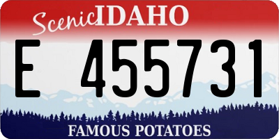 ID license plate E455731
