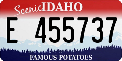 ID license plate E455737
