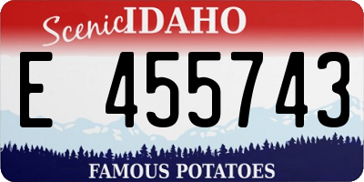 ID license plate E455743