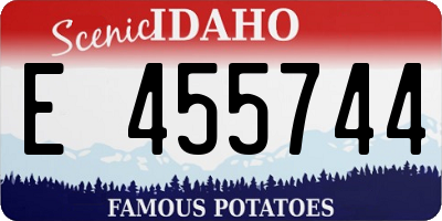 ID license plate E455744
