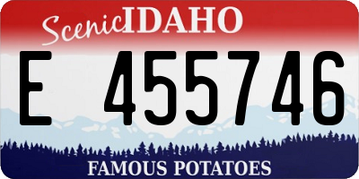 ID license plate E455746