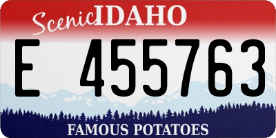 ID license plate E455763