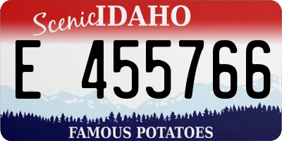 ID license plate E455766