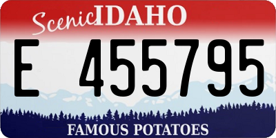 ID license plate E455795