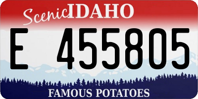 ID license plate E455805