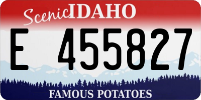 ID license plate E455827