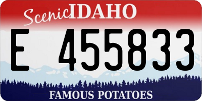 ID license plate E455833