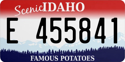 ID license plate E455841