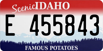 ID license plate E455843