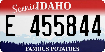 ID license plate E455844