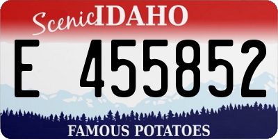 ID license plate E455852