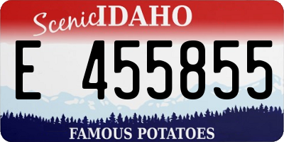ID license plate E455855