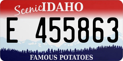 ID license plate E455863