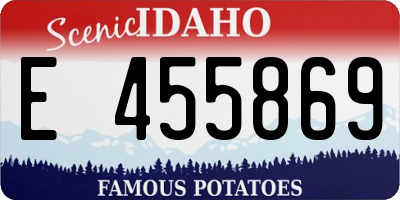 ID license plate E455869