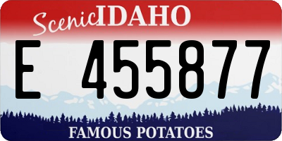 ID license plate E455877