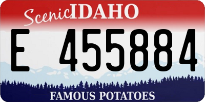 ID license plate E455884