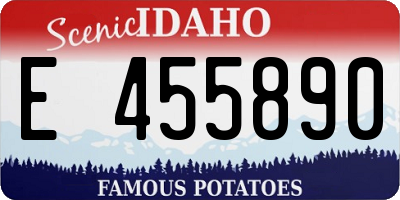 ID license plate E455890