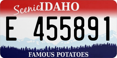 ID license plate E455891