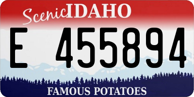 ID license plate E455894