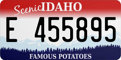 ID license plate E455895