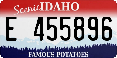 ID license plate E455896