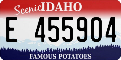 ID license plate E455904