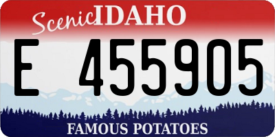 ID license plate E455905