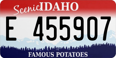 ID license plate E455907