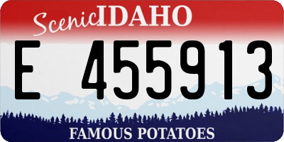 ID license plate E455913