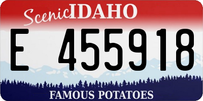 ID license plate E455918