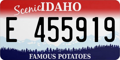 ID license plate E455919