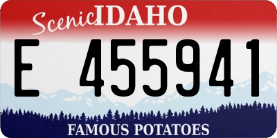 ID license plate E455941