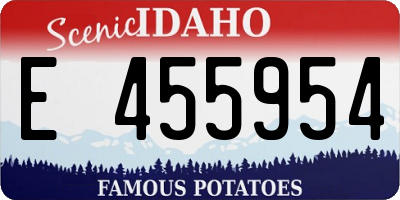 ID license plate E455954