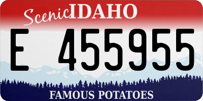 ID license plate E455955
