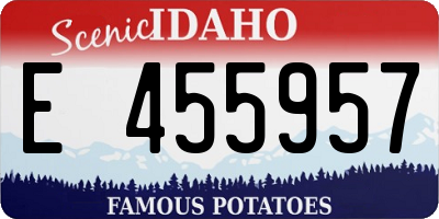 ID license plate E455957