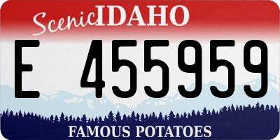 ID license plate E455959
