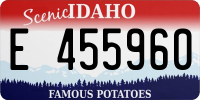 ID license plate E455960