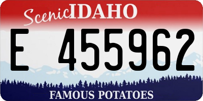 ID license plate E455962