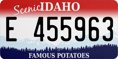 ID license plate E455963