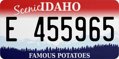 ID license plate E455965