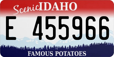 ID license plate E455966