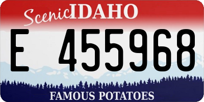 ID license plate E455968
