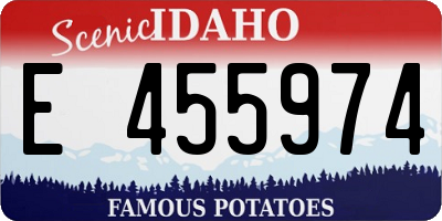 ID license plate E455974