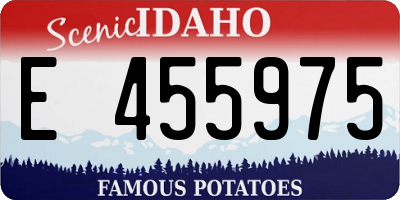 ID license plate E455975