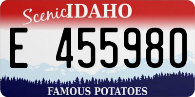 ID license plate E455980