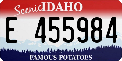 ID license plate E455984