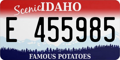 ID license plate E455985