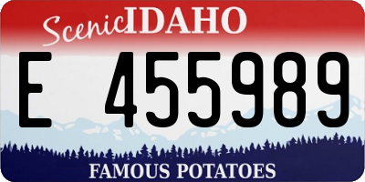 ID license plate E455989