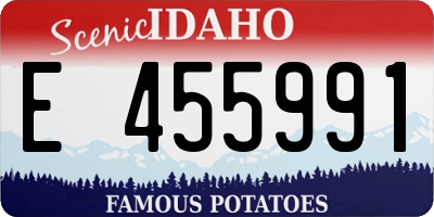 ID license plate E455991